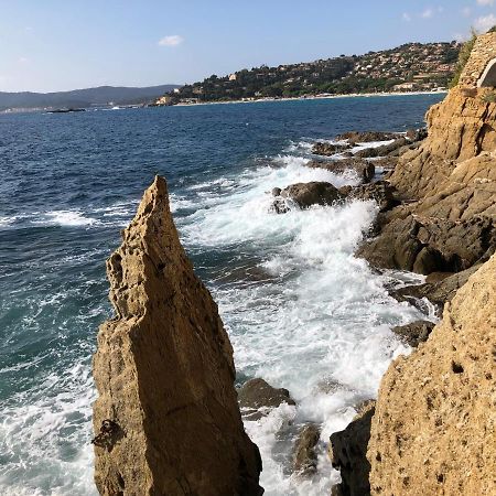 Mer Et Soleil بورم لي ميموزا المظهر الخارجي الصورة