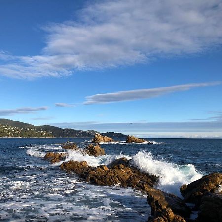 Mer Et Soleil بورم لي ميموزا المظهر الخارجي الصورة