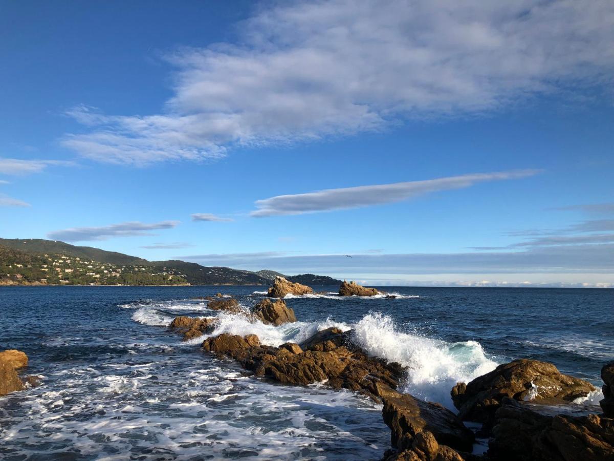 Mer Et Soleil بورم لي ميموزا المظهر الخارجي الصورة