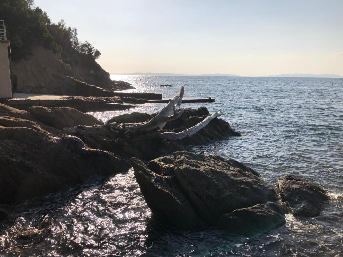 Mer Et Soleil بورم لي ميموزا المظهر الخارجي الصورة